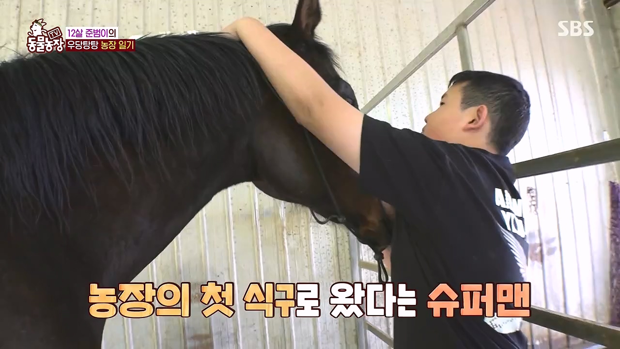 TV 동물농장.E1178.240630.ts_20240630_164640.827.jpg