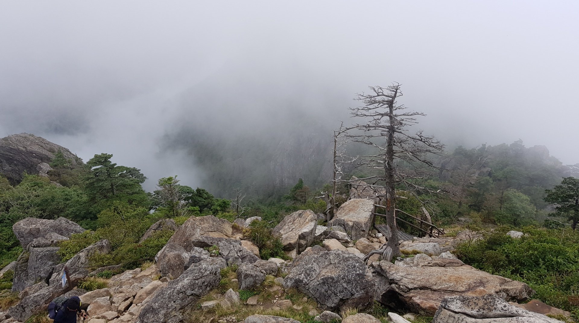 지리산 19번째 짙은 운무