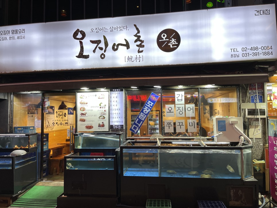  오징어촌 : 처음 먹어본 갑오징어회... 이런 맛이었구나