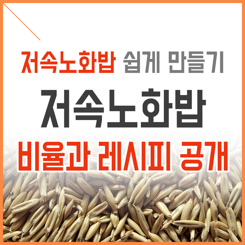 저속노화밥-쉽게-만들기-저속노화밥-비율과-레시피-공개