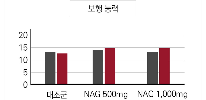 NAG-인체시험결과-보행능력