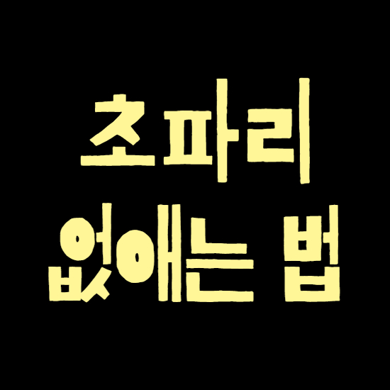  초파리 없애는 법 요약정리