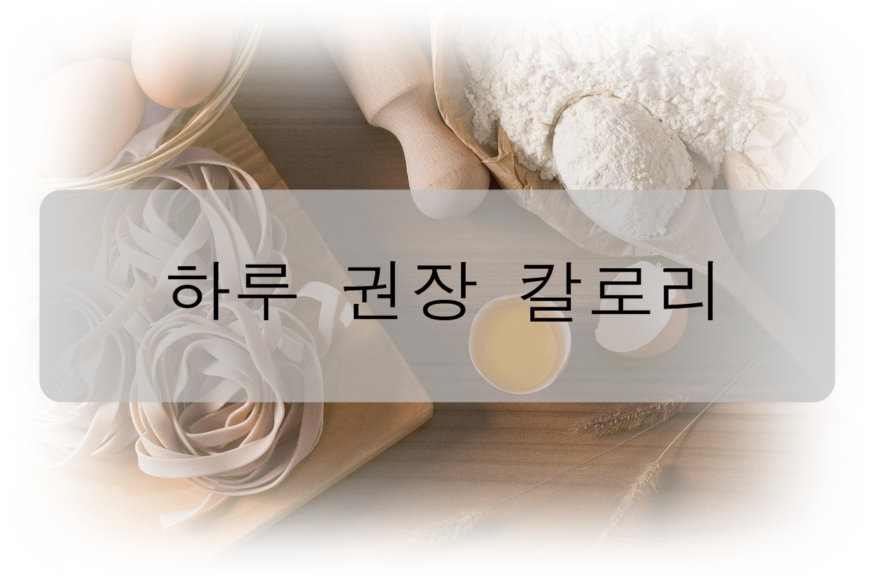  하루 권장 칼로리를 알아보자!(성별, 연령별, 주요 음식 칼로리)