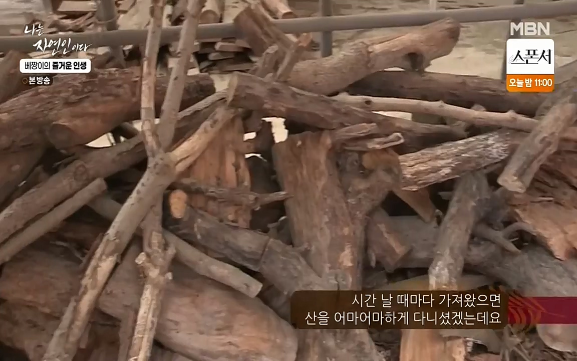 나는 자연인이다.E495.220331p-NEXT.mp4_20220331_174328.154.jpg