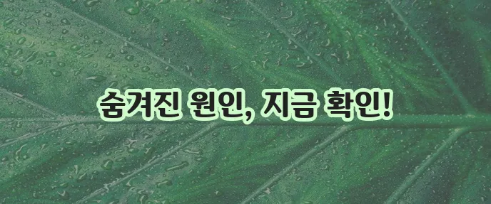 항문 통증 원인과 해결책 확실하게 알아봐야 합니다.