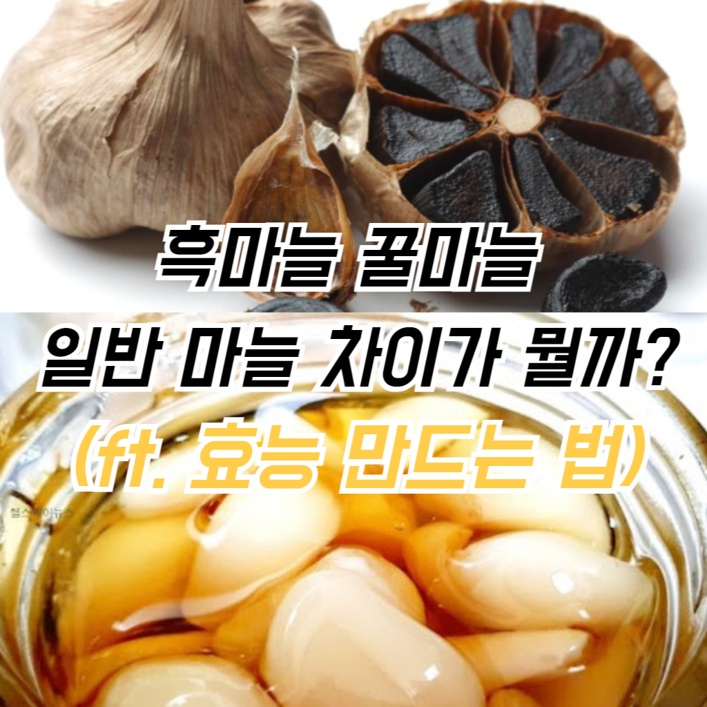 흑마늘 꿀마늘 사진