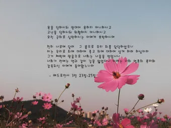 베드로전서 4장 성경 말씀 당신은 혼자가 아닙니다_18