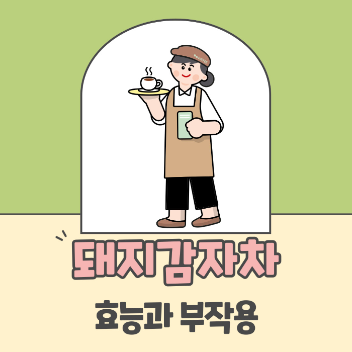  돼지감자차 효능, 부작용 알아보기
