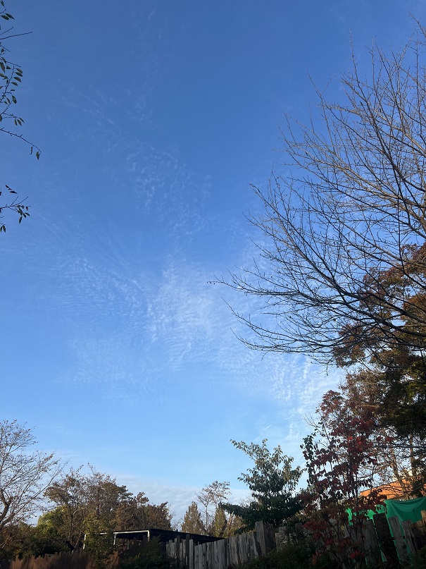 전주동물원 산책