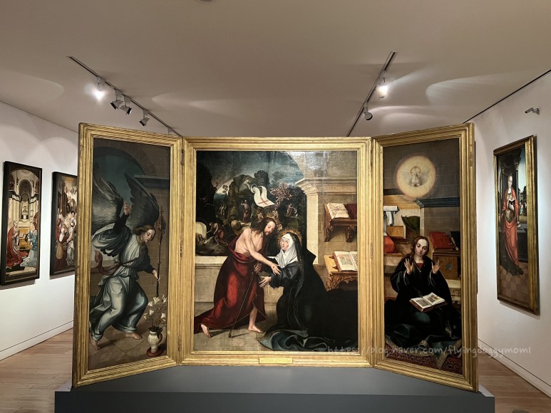 1세기는 포르투갈] 1세기 로마시대 지하 회랑을 경험할수 56