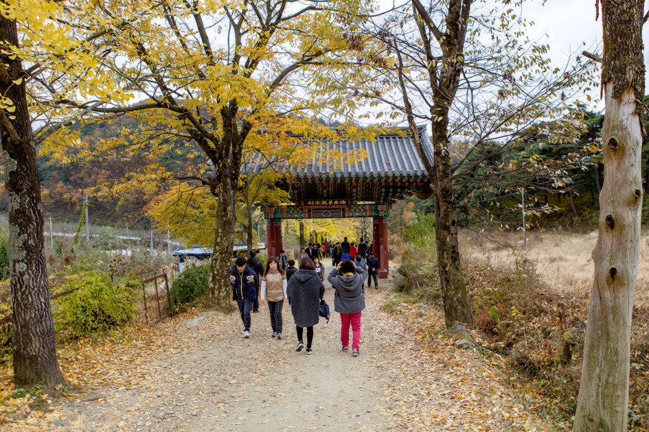 팔령 팔우회 2016 가을나들이 2 (2016-11-09) 97