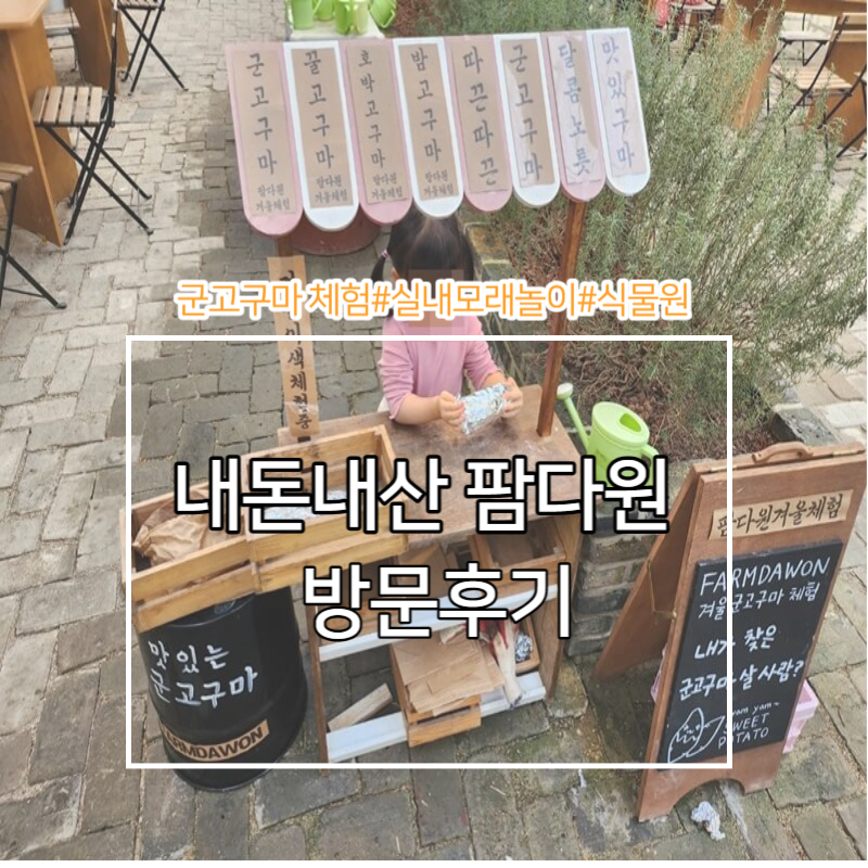  대구 실내 모래놀이 카페 팜다원, 군고구마 체험(내돈내산 솔직후기)