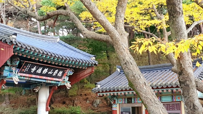 - 수덕사, 명상치유림길과 수암산의 가을 예산으로 볼거리, 단풍여행 25