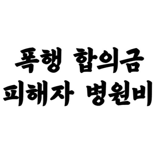 폭행 합의금 피해자 병원비