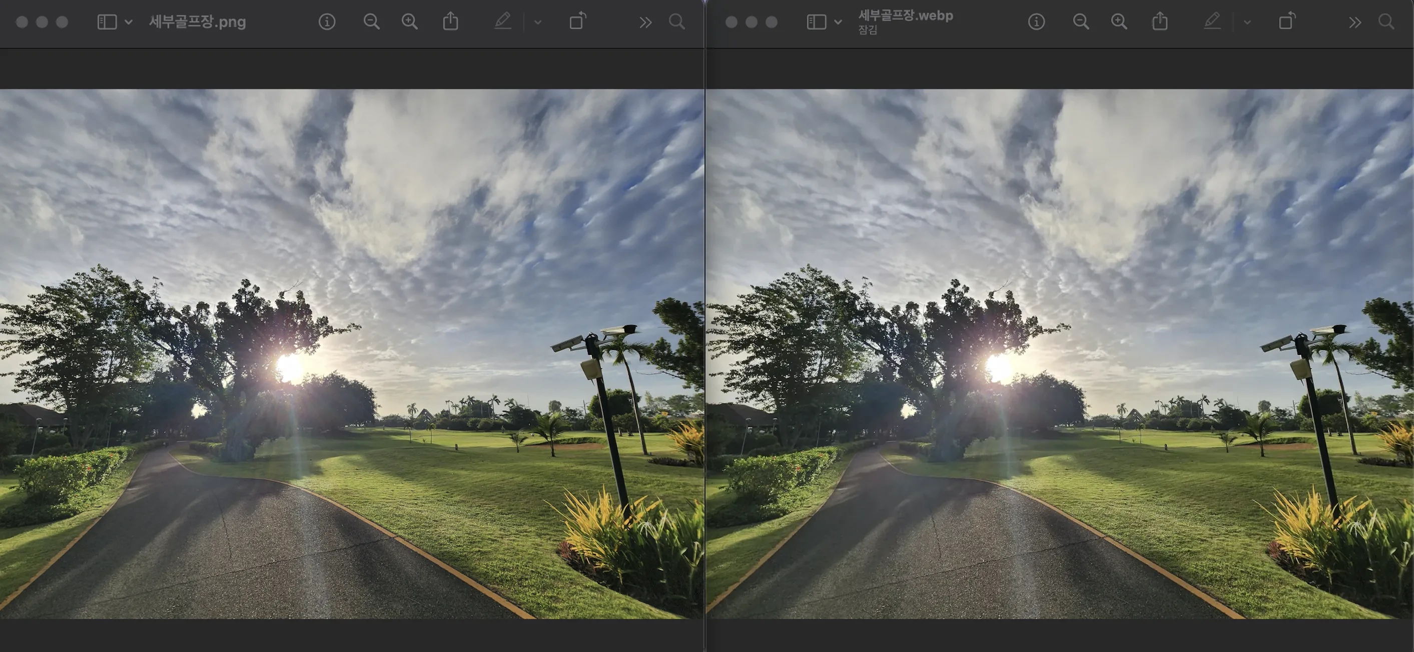 PNG_WEBP_변환후_퀄리티비교
