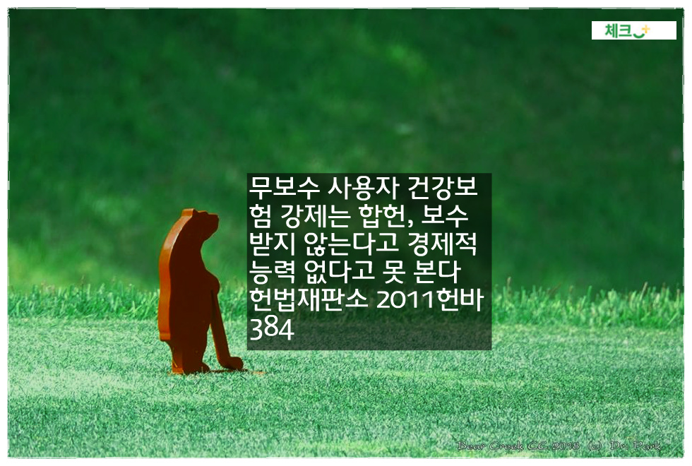 무보수 사용자 건강보험 강제는 합헌&#44; 보수 받지 않는다고 경제적 능력 없다고 못 본다