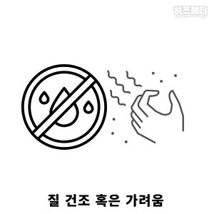 갱년기 증상