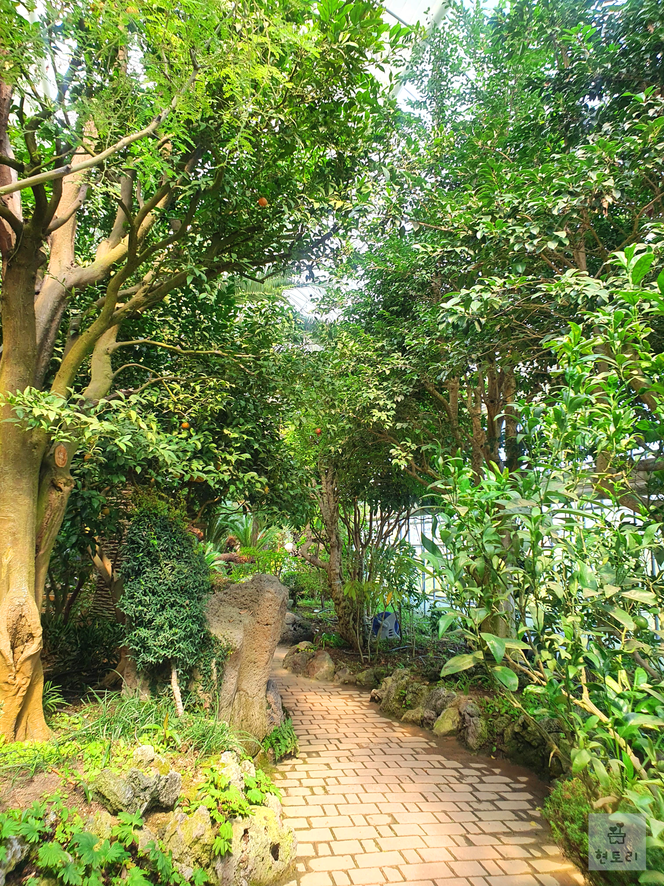 탐라식물원
