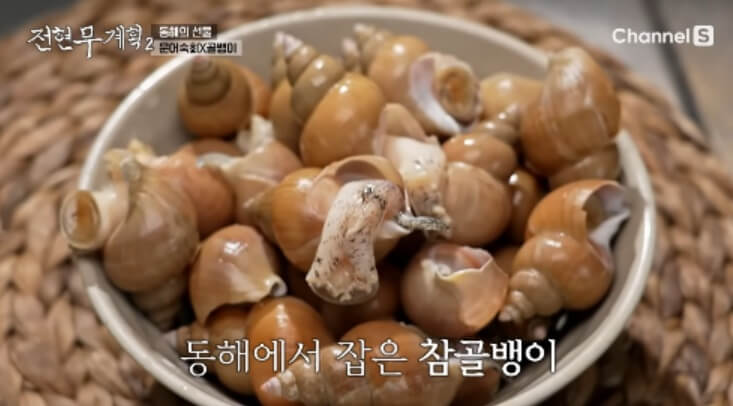전현무 계획 2 삼척