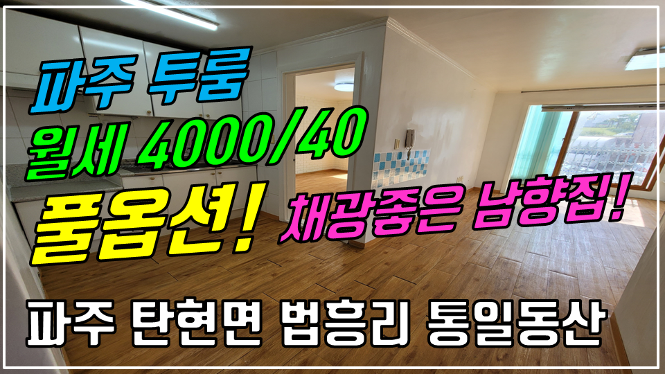  파주 탄현면 법흥리투룸/통일동산투룸/헤이리투룸/파주영어마을투룸/엘지디스플레이투룸 월세 4000/40만 개방감 좋고 채광좋은 남향집 3층 거실 넓은 풀옵션 투룸 임대