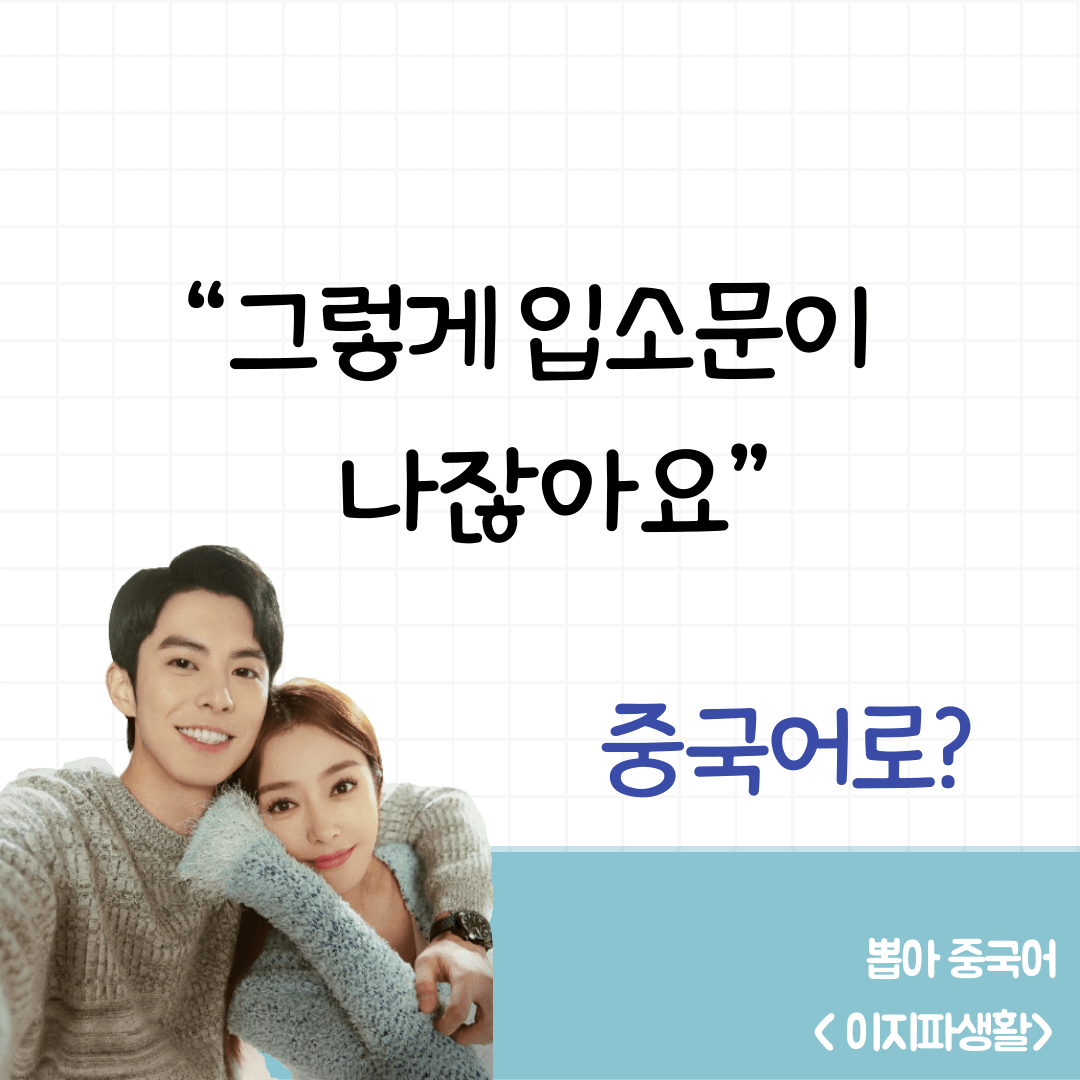 이지파생활