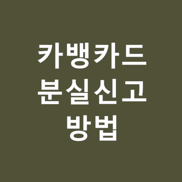 카뱅카드 분실신고 빠르게 하는 법