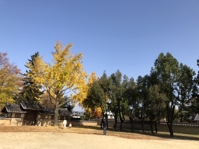 군산엄마들이 2020_엄마 아빠랑 48