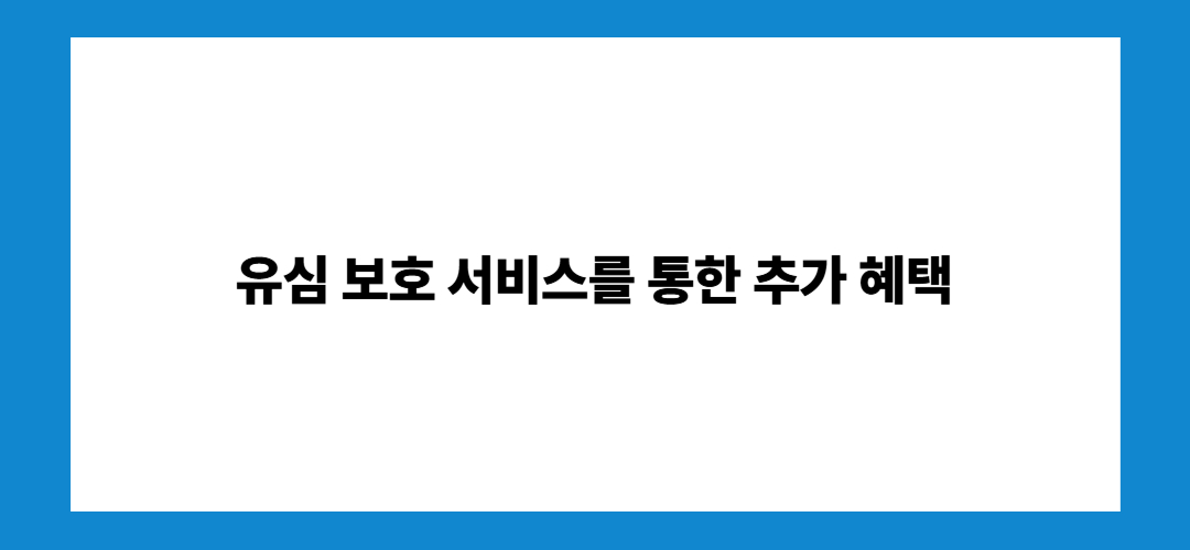 유심 보호 서비스를 통한 추가 혜택
