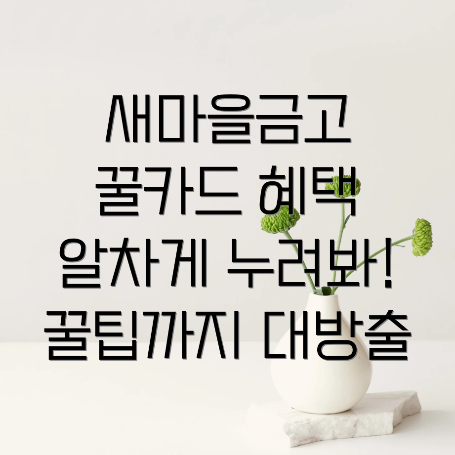 새마을금고 꿀카드