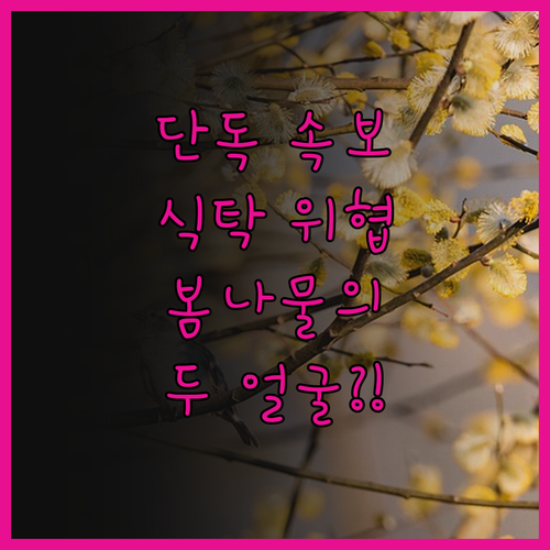 🧐 [단독] 식탁을 위협하는 봄나물의