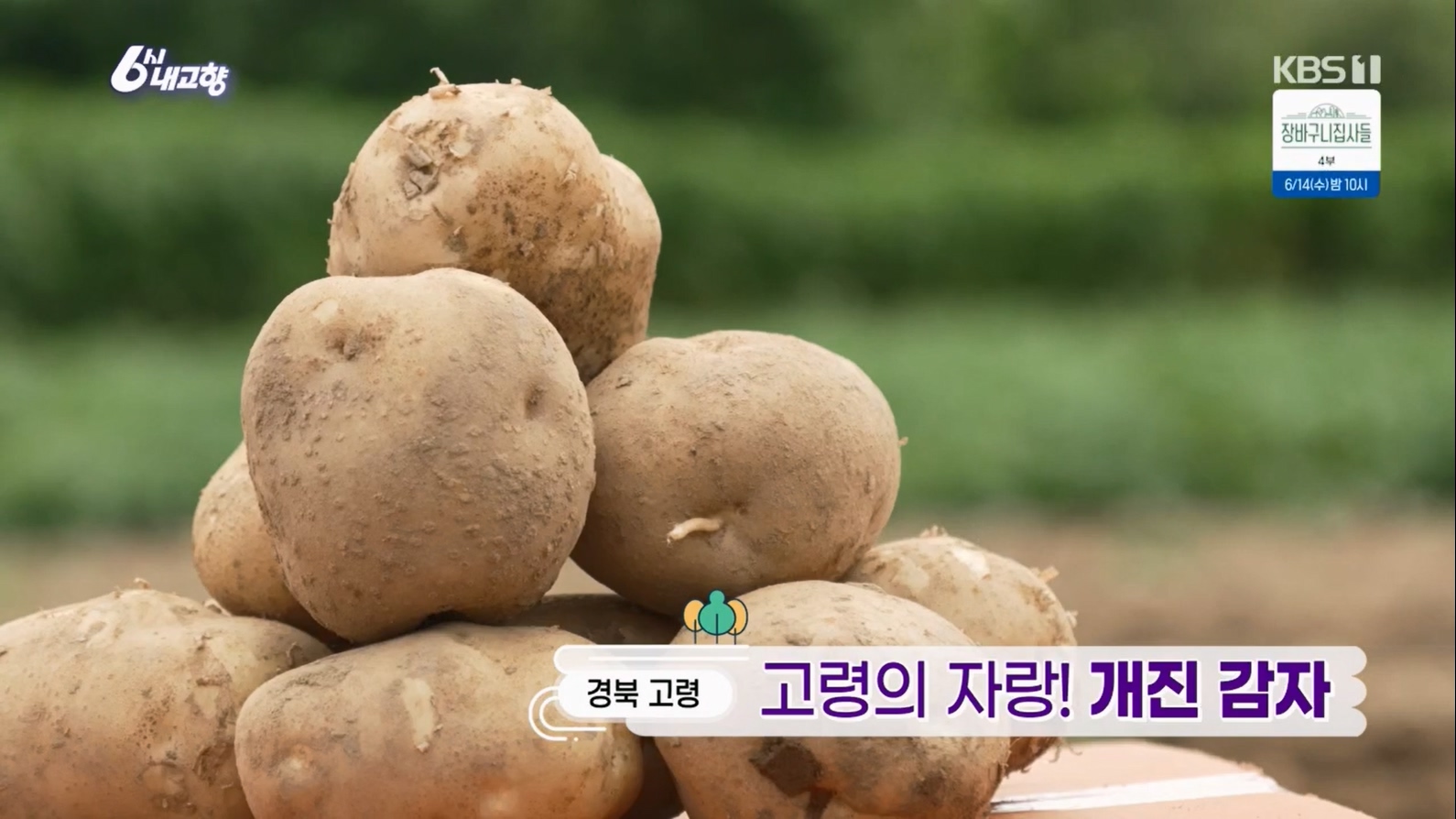 6시 내고향.E7806.230613p.H264-F1RST.mp4_20230614_203159.424.jpg