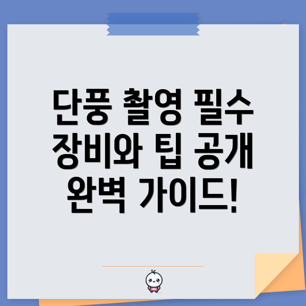 단풍 촬영