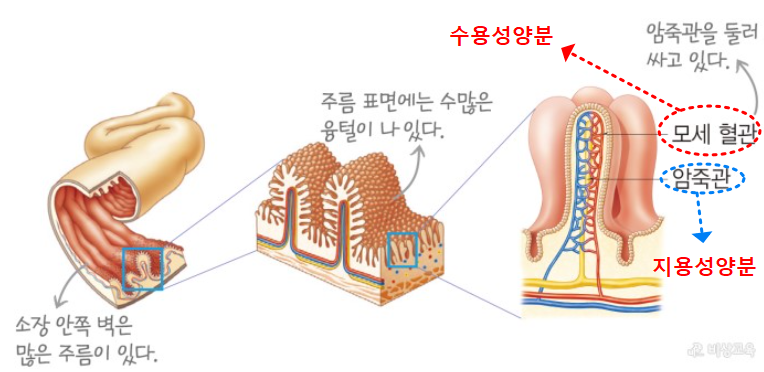 소장