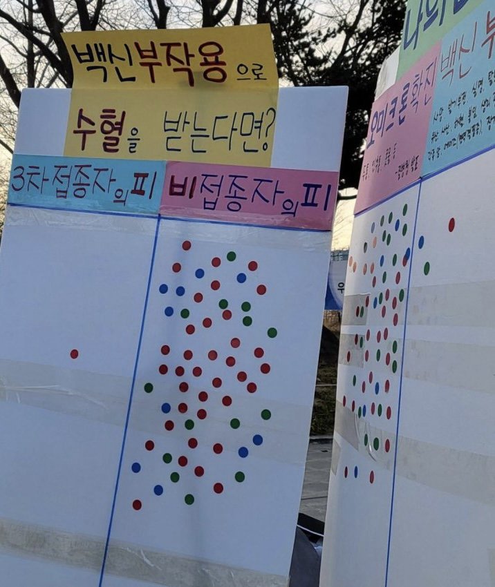  어느 쪽이 순혈일까요