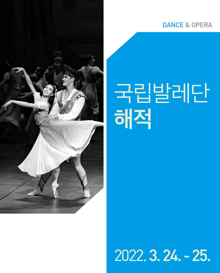  [공연전시] 해적 [대전]