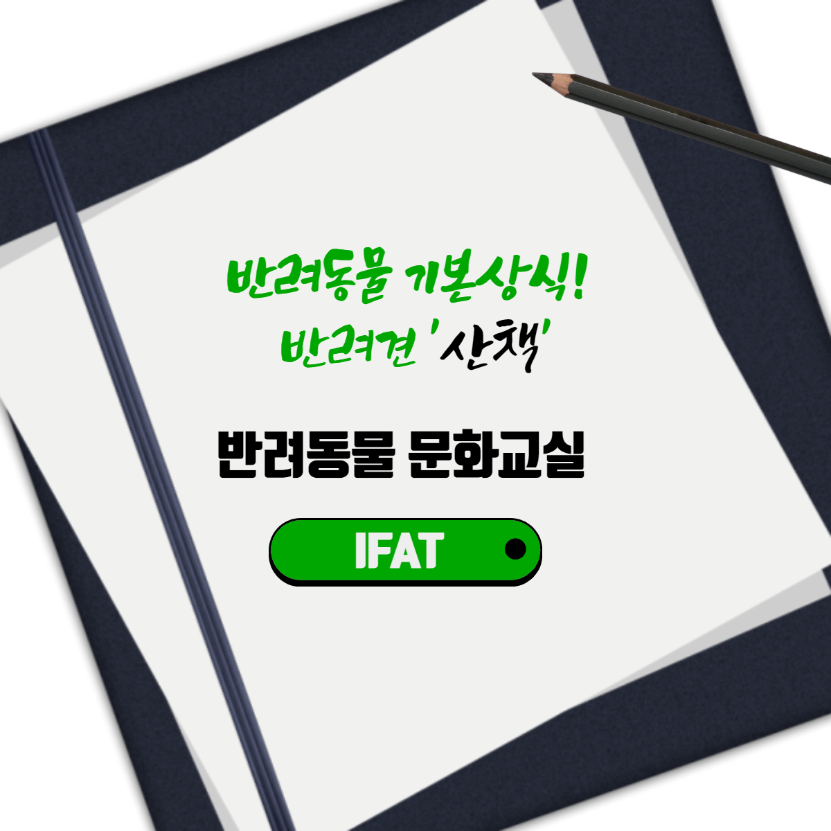 반려동물 기본상식! 반려견 '산책'