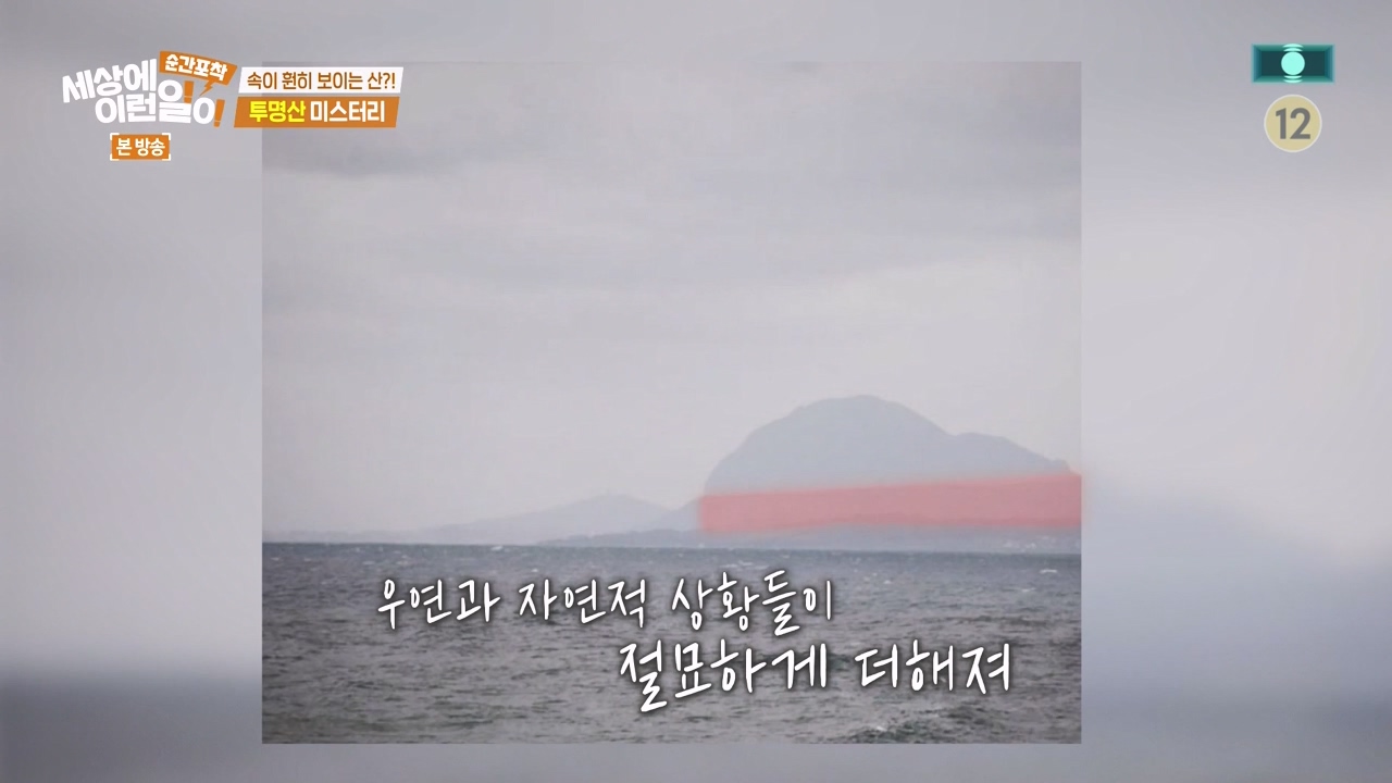 순간포착 세상에 이런일이.E1272.240407p-NEXT.mp4_20240407_175007.736.jpg