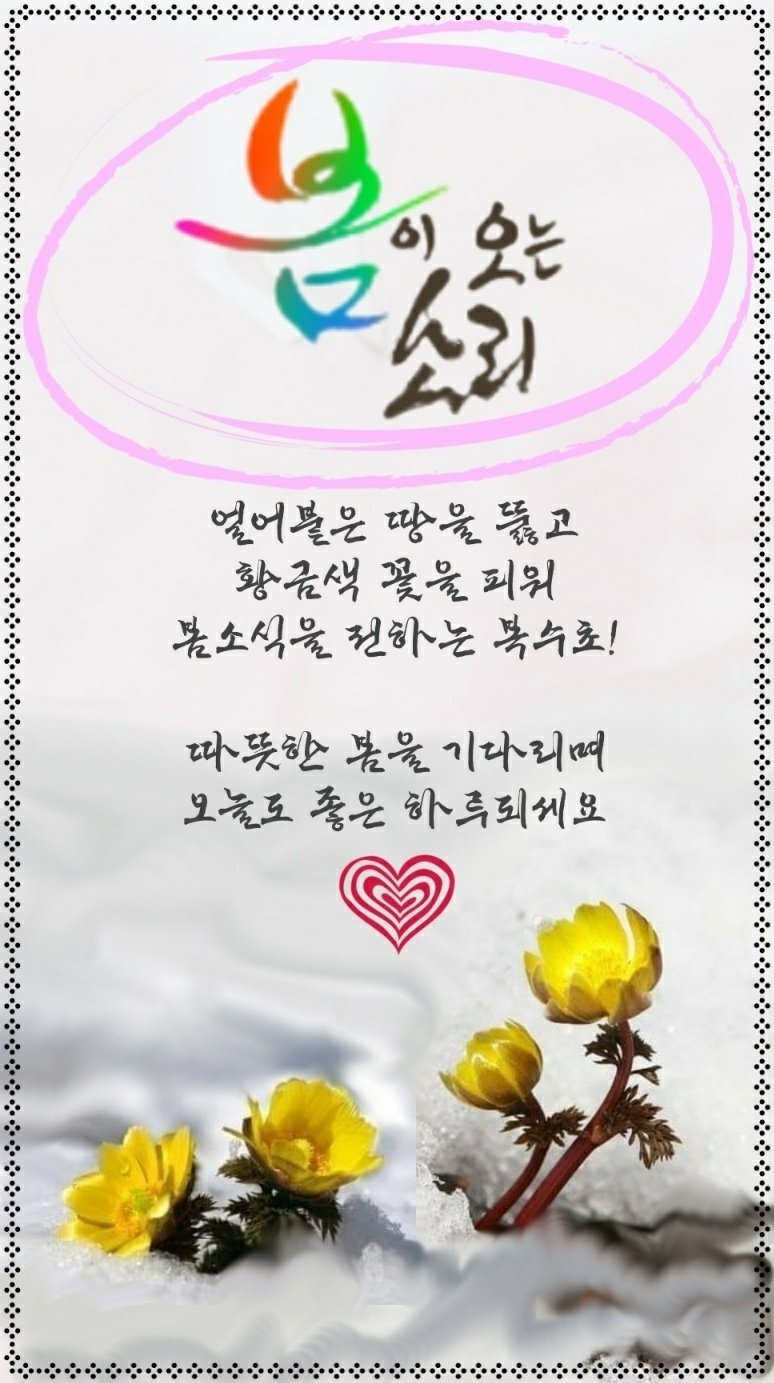 곧은 이미지