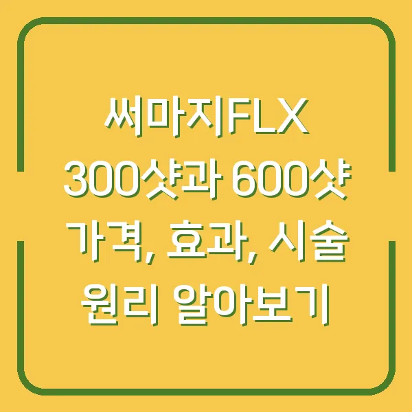 써마지FLX 300샷과 600샷 가격, 효과, 시술 원리 알아보기