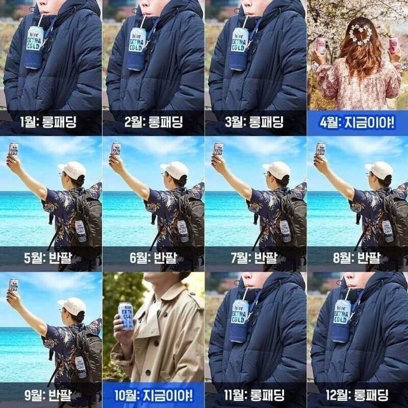  지금이야 짤도 쓰기 민망한 K-가을날씨 근황.jpg