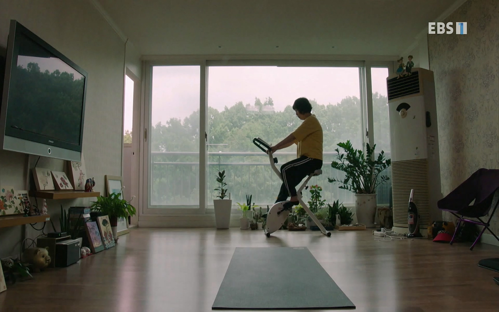 EBS 명의 헬스케어 - TV - 교육의 중심 EBS무릎 건강 프로젝트 2부 새 무릎으로 사는 법 .mp4_20220726_202326.664.jpg