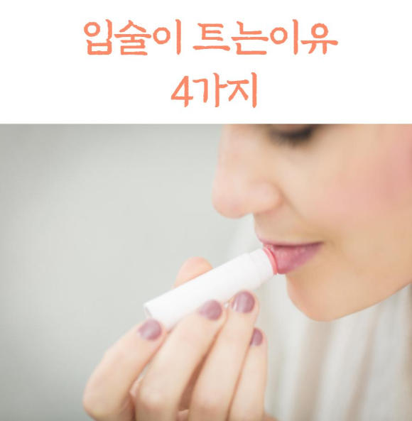  입술이 트는 이유 4가지