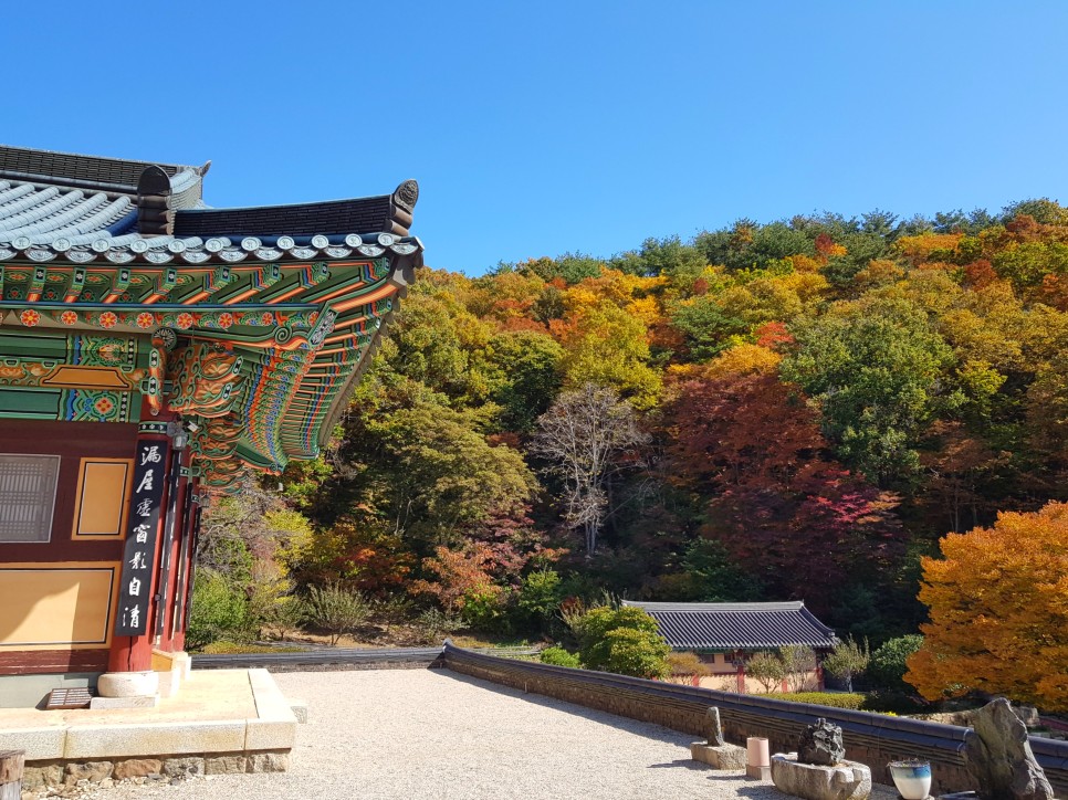 장소! 칠불사의 가을 풍경을 감상하세요:) 하동칠불사의 가을 멋진 자태를 품은 39