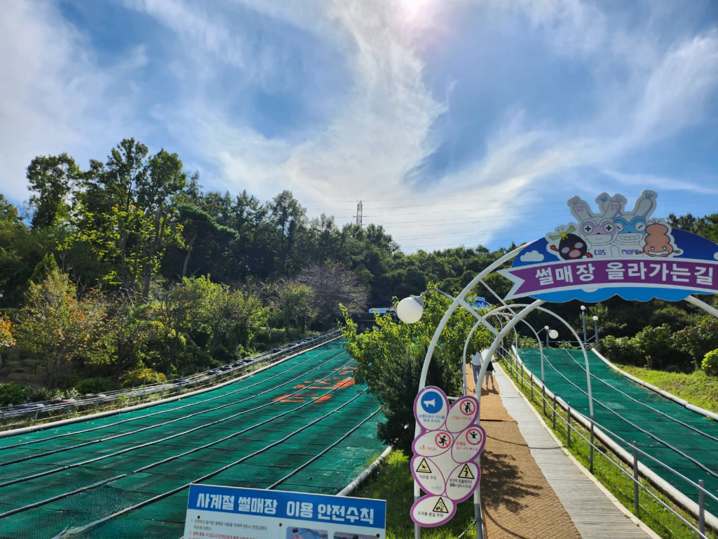 사계절 썰매장