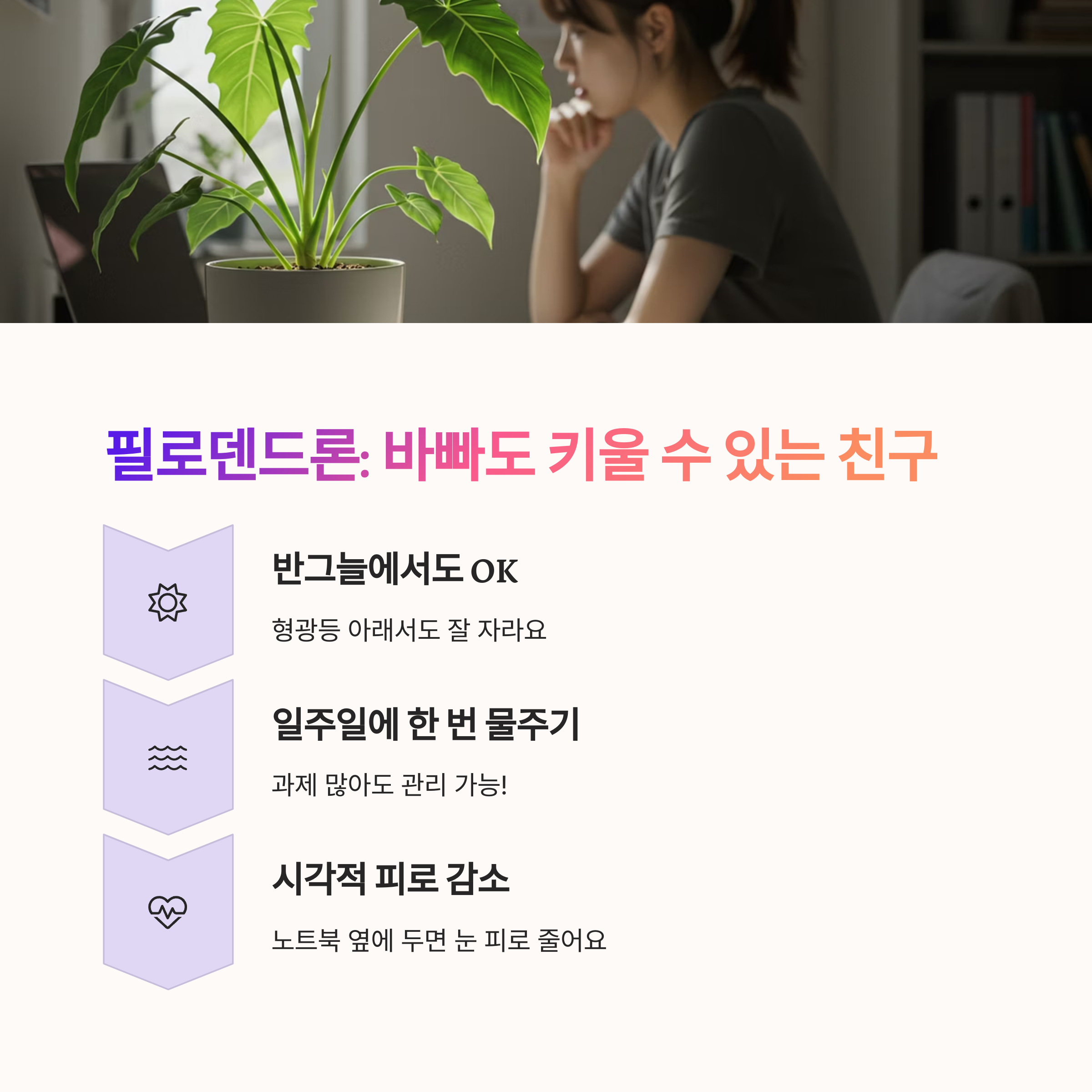 필로덴드론 – 감성적이고 부담 없는 반려초록