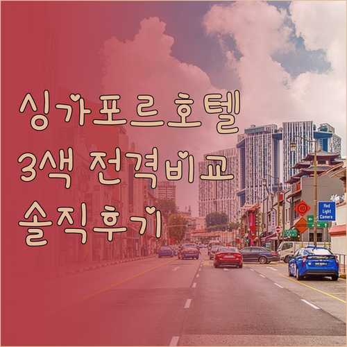 내돈내산 솔직 후기 싱가포르 3色 호