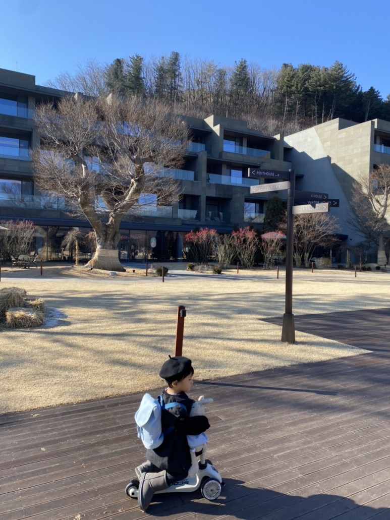 서울 펜트하우스 가평 아난티코드 펜트하우스 106