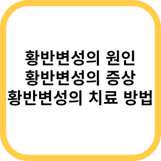 황반변성의 원인, 황반변성의 증상, 황반변성의 치료 방법