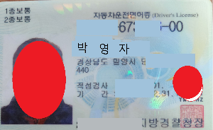 1종보통 면허