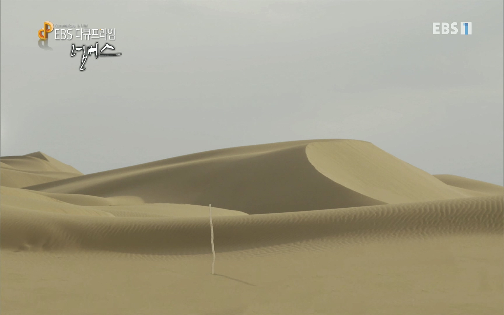 EBS 다큐프라임 - TV - 교육의 중심 EBS넘버스 - 1부 하늘의 수, π.mp4_20220717_181551.962.jpg